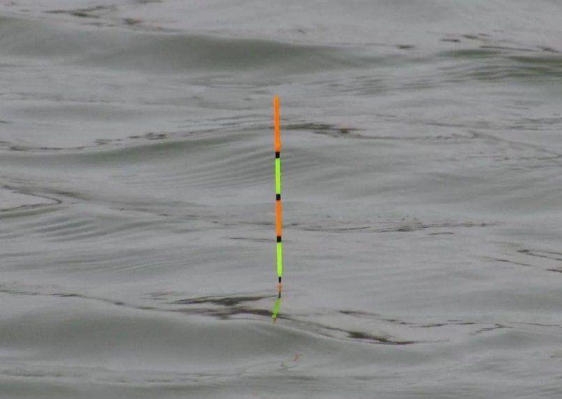 钓浮其实不简单,钓鱼老司机浅谈钓浮调漂技巧,快来学学