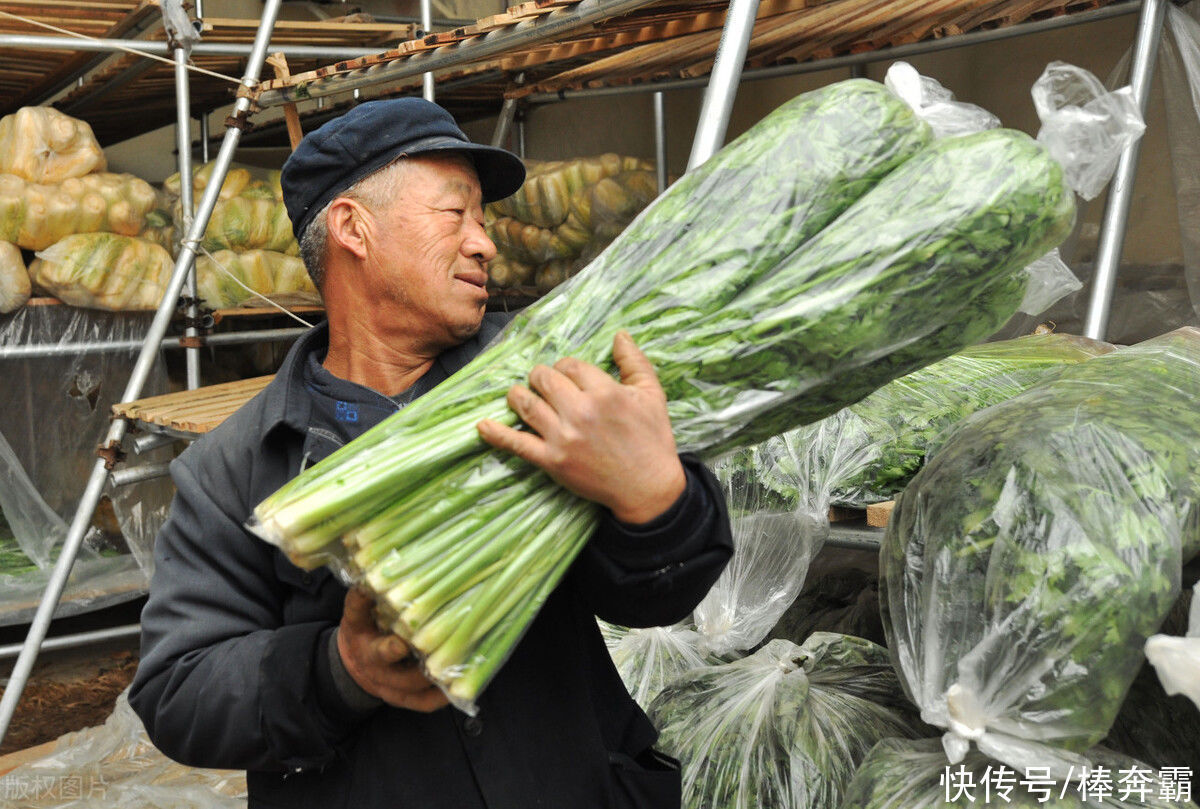 原产于印度，曾誉为“蔬菜之王”，火爆没几年便备受冷落，为啥？