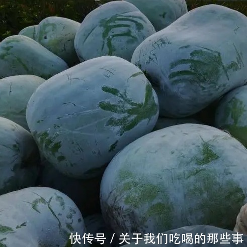 冬瓜|买冬瓜时，黑皮好还是青皮好？口感差别大，做法也不同，别买错了