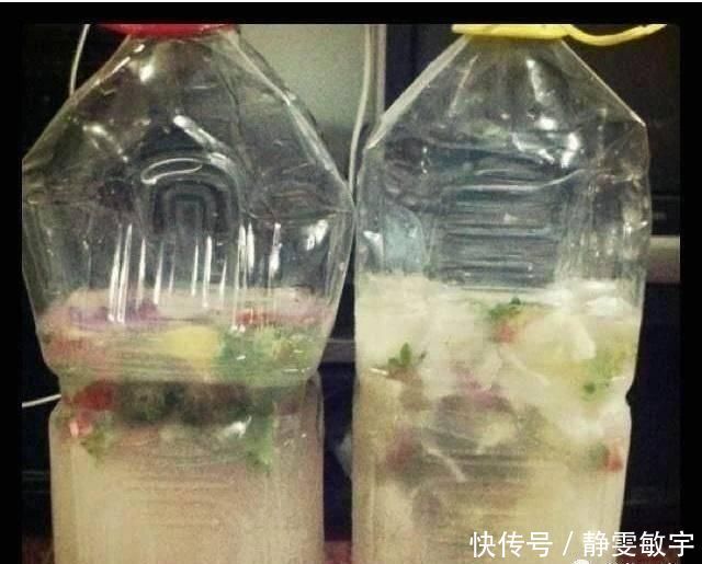 盆土铁如锤浇这“2种水”，一浇就疏松，5年不用施肥换盆了