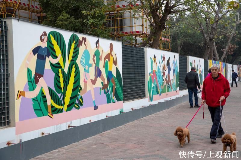 包围|30余幅彩绘绵延600多米,上海徐汇一老小区被涂鸦“包围”……