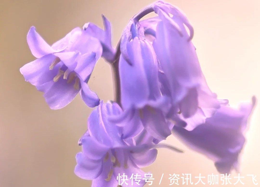 道德经$《道德经》真正厉害的人,甘于平凡