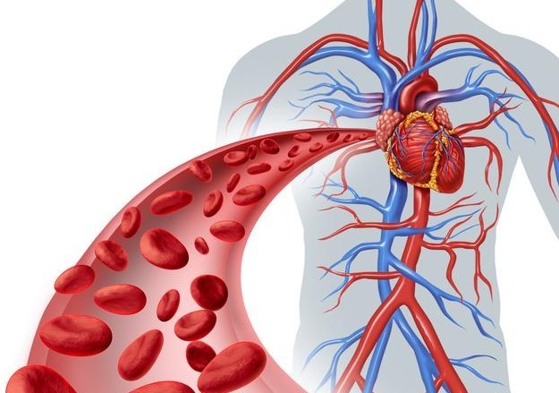 低血压|控制高血压,收缩压和舒张压哪个重要3种不同情况分别为你说清