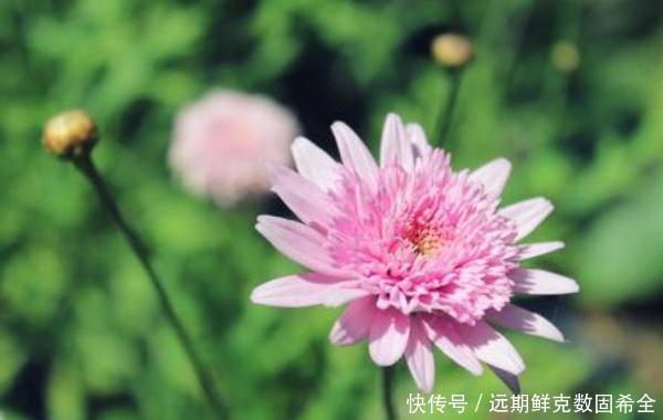 钱财|俗话说人是贫是富,其实早有定数,具备4个特质,钱财花不完