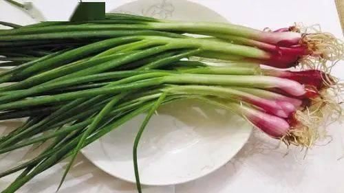 功效|小小一根葱,竟然有这么多功效!真是太神奇了~