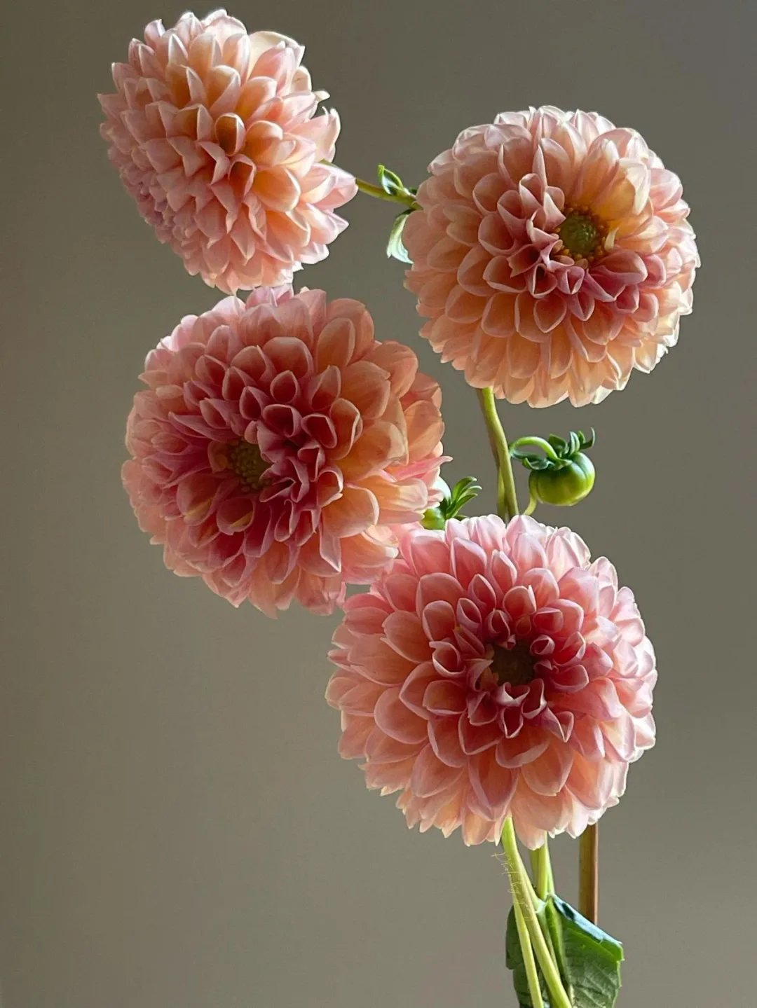 别舍弟宗一！30首经典数字诗，一首一个名句，让人拍案叫绝