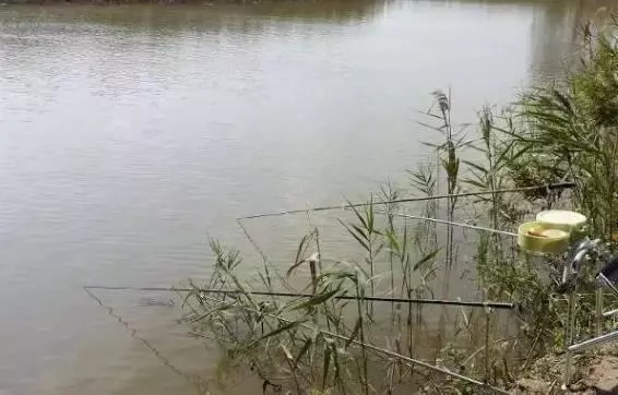 野钓选钓点是关键的一步,这样钓鲫鱼,越钓越爽,怎么钓都过瘾!