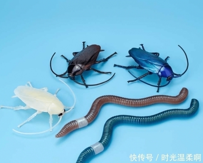 昆虫|你见过哪些奇怪的手办模型?蟑螂、蚯蚓为原型的手办,还原度太高