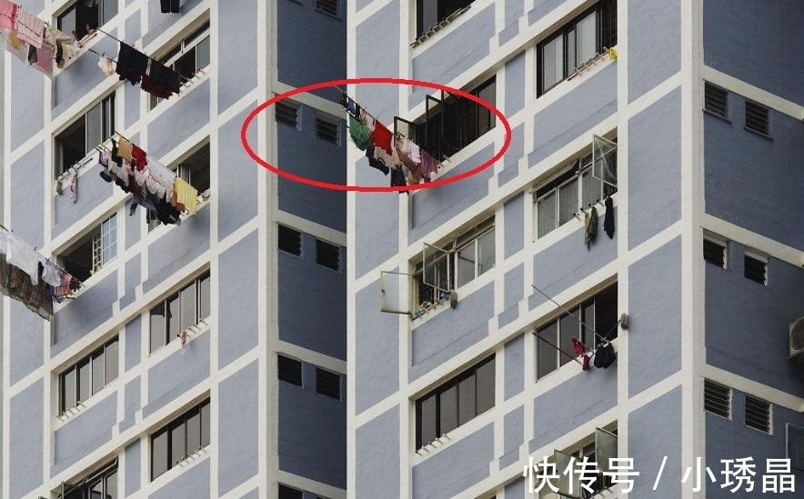 阳台|杭州发现一户人家阳台，果然聪明人，大开眼界！拍照大家来看看