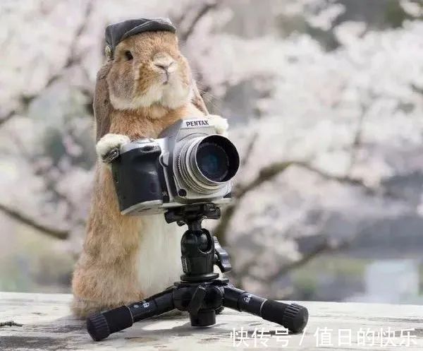 |幽默笑话:老熟人!