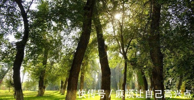 二木@千古绝对!上联一日为日,二日为昌,三日为晶 , 下联堪称经典!