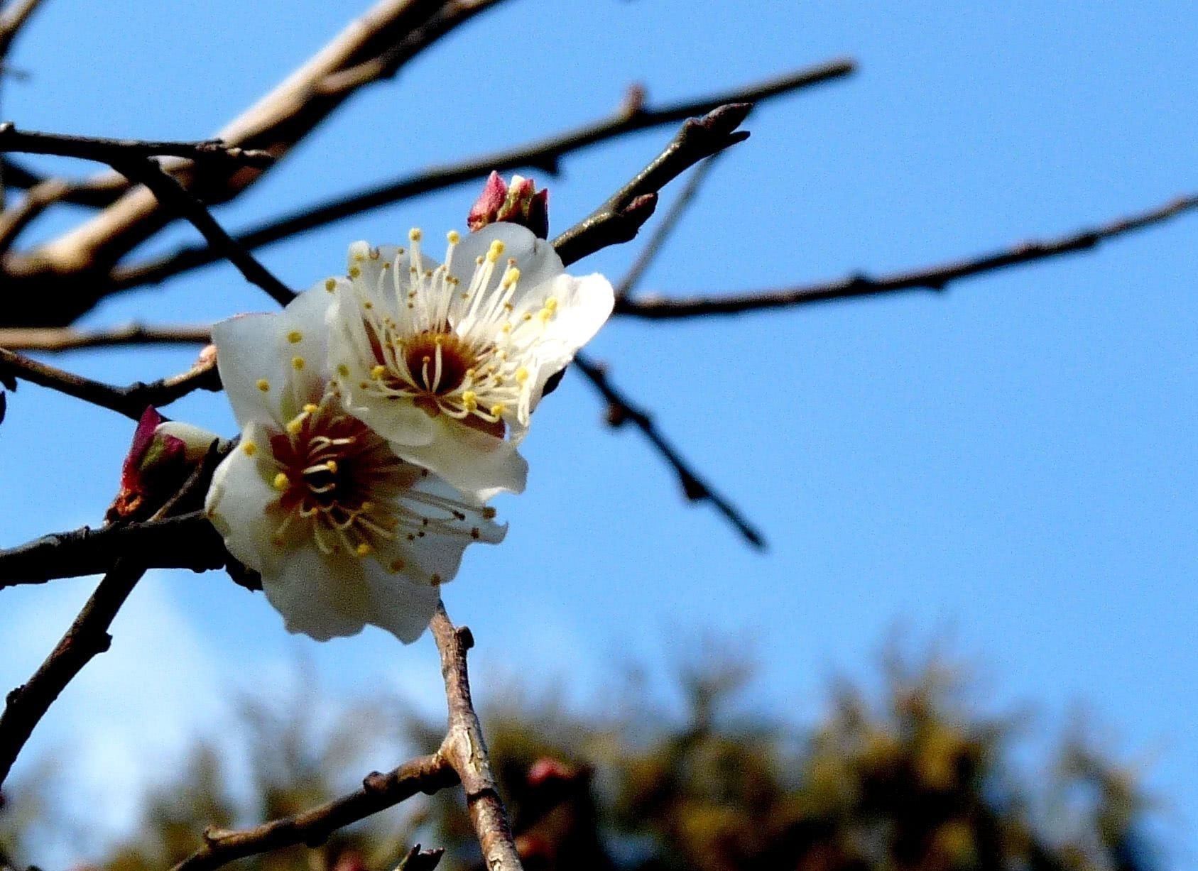禅理|王安石一首充满禅理的诗,写得很深刻,读懂了也就明白了许多道理
