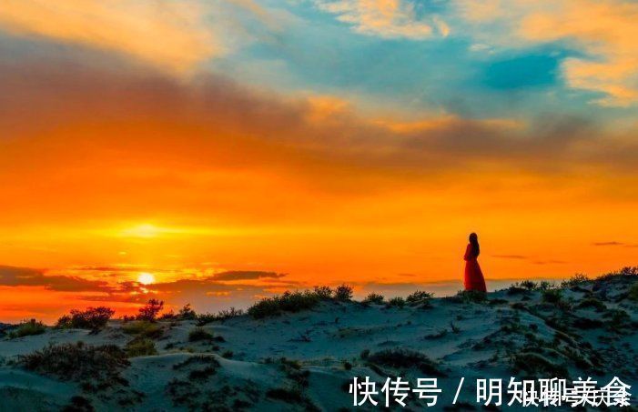 酬乐天咏老见示$刘禹锡晚年写下一诗,对待人生的积极态度,让人受益无穷