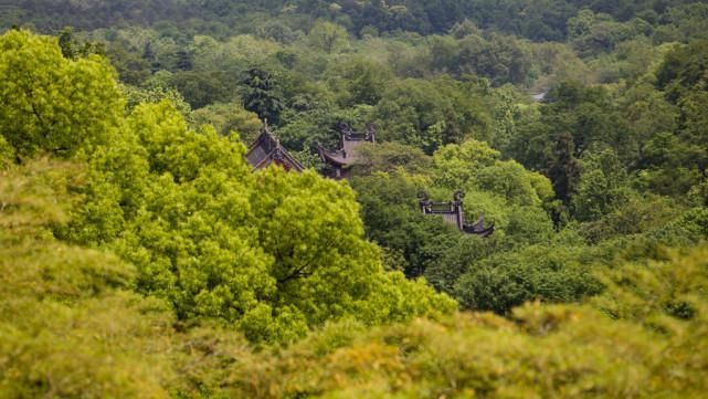 紧挨灵隐寺还有一座寺庙，1600年历史还不用门票，很多游客不知道