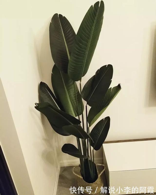 装饰|忍不住晒晒简约新房,全屋网购做软装,邻居上门都以为是样板间