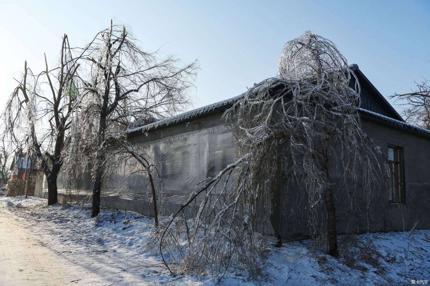 美丽的北国风光，千里冰封，万里雪飘