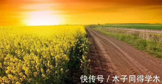 花露水|41个生活常识,读后受用