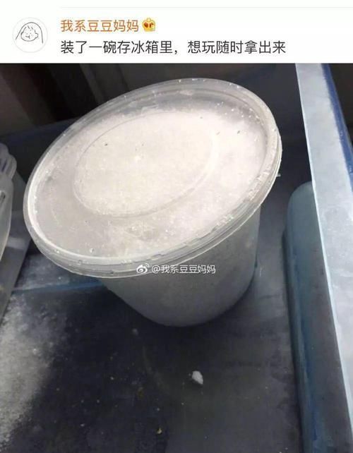 你冰箱里放的什么？反正我放的雪人！哈哈哈，南方人真的太可爱了