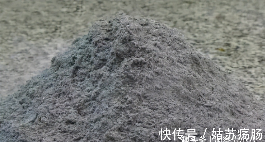 废料|月养月季,土里备“三废料”,新芽“咕噜”冒,芬芳宜人小半年