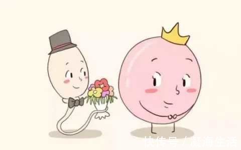 卵泡|为什么建议备孕提前3个月,究竟有没有科学依据?