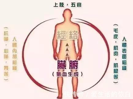 疑难杂症|搞懂了人体的“三焦”,所有疑难杂症,都可迎刃而解,建议收藏!