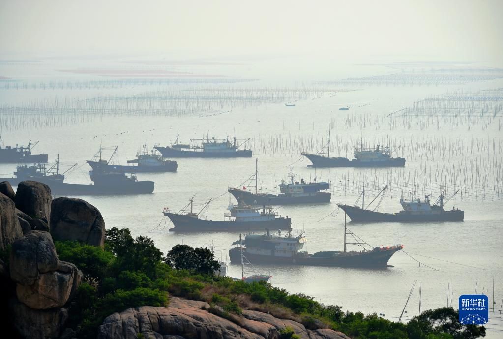 霞浦县|福建霞浦：冬日水墨滩涂