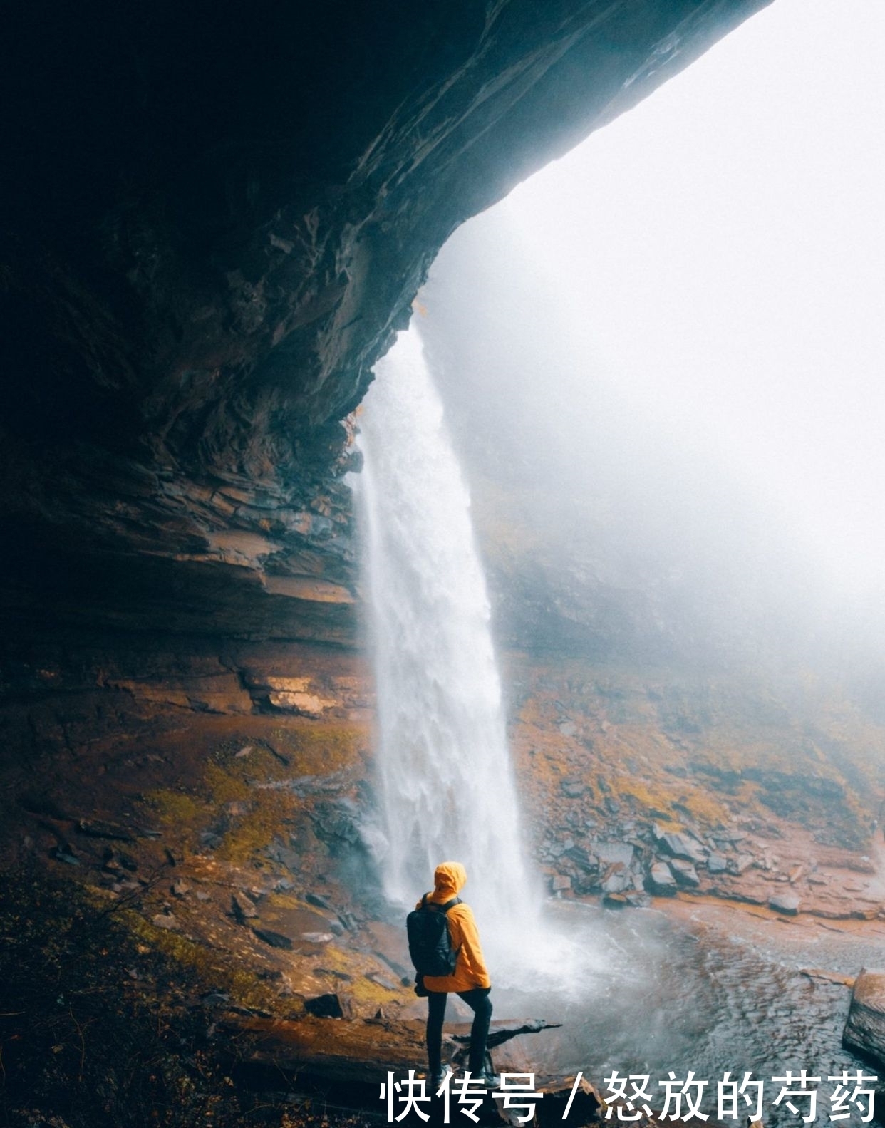 精髓|化氏饵料归类:最全化氏饵料配方大全【转载分享】(精髓)