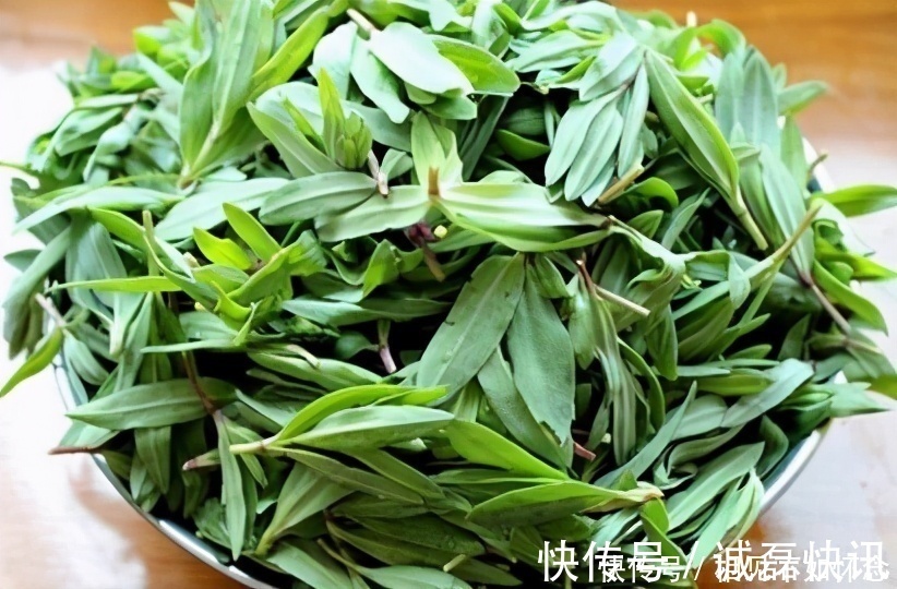 李医师|营养价值高的3类食物,不妨常吃,帮助消化、清理肠毒、健脾安神