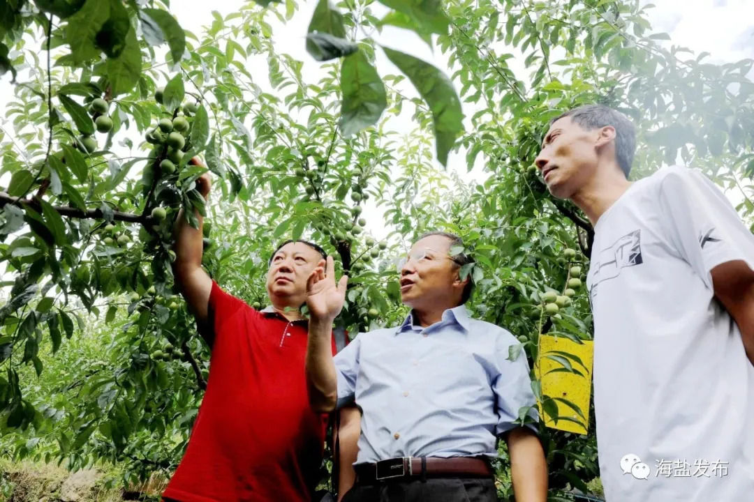 道德模范|最美浙江人丨浙江表彰省道德模范，这位海盐人去领奖了！