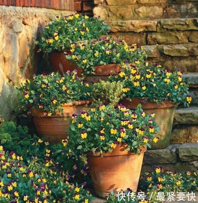 任何容器都能用来做花盆，请收好这30种美丽的花盆搭配设计