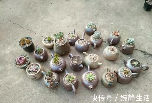 花盆|花盆不用买,变废为宝做一个,比买的还好看,分分钟惊艳朋友圈