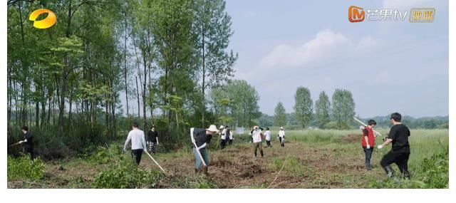 彭昱暢|張子楓與梁靖康互動(dòng)不避嫌，彭昱暢故意拱火，差點(diǎn)讓黃磊下不了臺