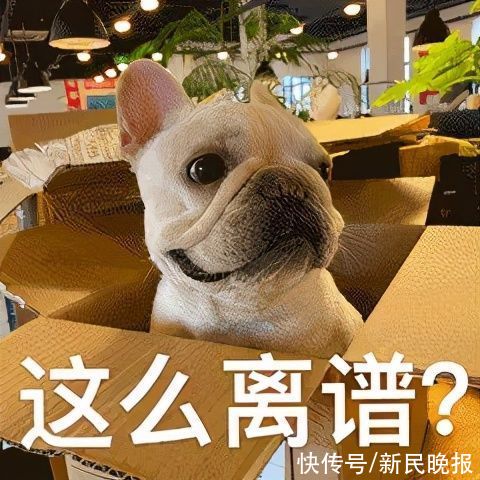 教育部：严禁中小学招生与任何竞赛挂钩！家长：不看证书看什么？