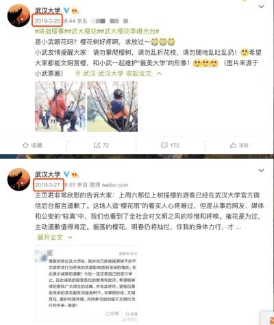 研究生校内拾樱花送同学，这些人却……武大紧急提醒