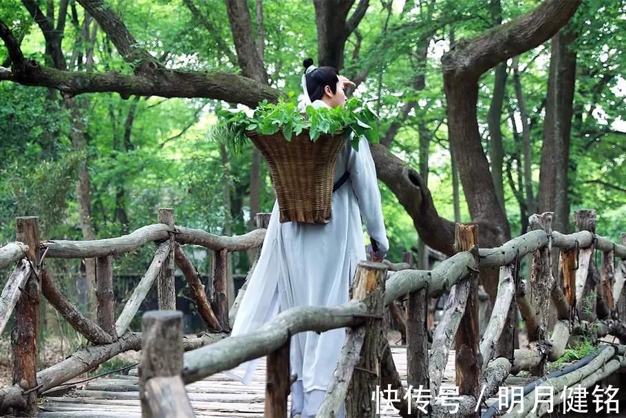 东晋$东晋一道士修仙,写本书流传千年,翻开一看:竟记载诺贝尔奖成果