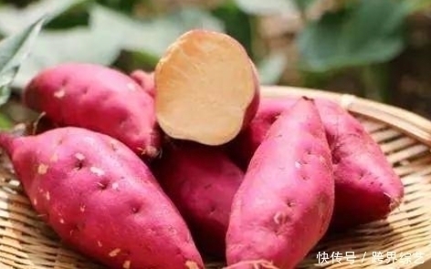 红薯|吃完红薯后要当心,切忌碰一物,很多人却忽略了,值得分享给家人