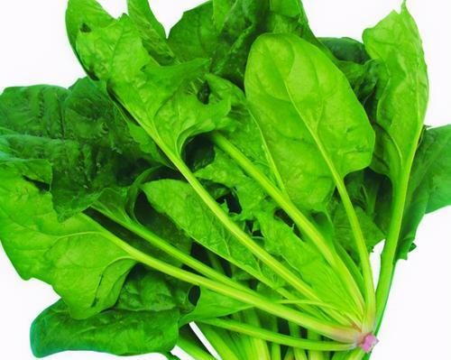  预防|营养价值非常高的食物，可以常吃，美容养颜、滋补身体，预防衰老