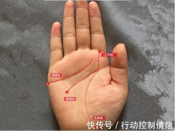 竖线|生命线长的易长寿其实以下四类人才会长寿,来看看有没有你!