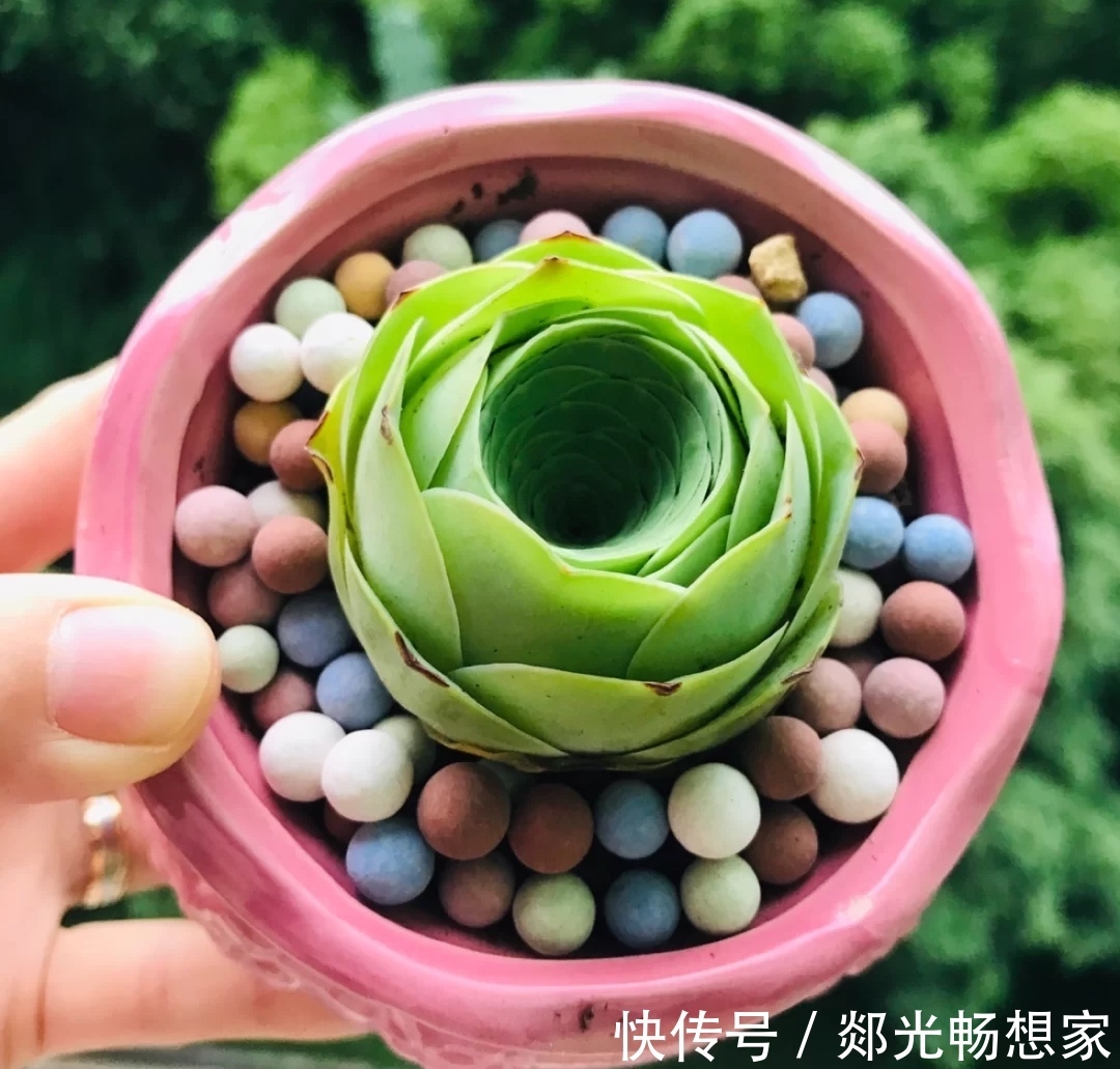 收纳|一时脑热,跟风买的这12个小物,两周过去再也离不开了