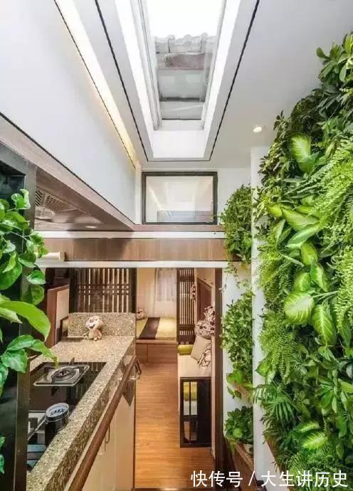 大树|15米大树穿过20㎡老屋,一家人害怕遭雷劈,出价8万挖走也不敢卖