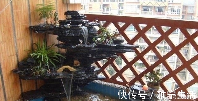 鱼池|有庭院的人都开始造景观鱼池了美哭了,回家也要挖一个