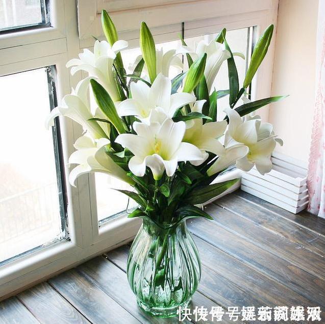 牡丹花|这种花在农村到处都是,却是有钱人最爱养的盆栽,不仅招财还养人