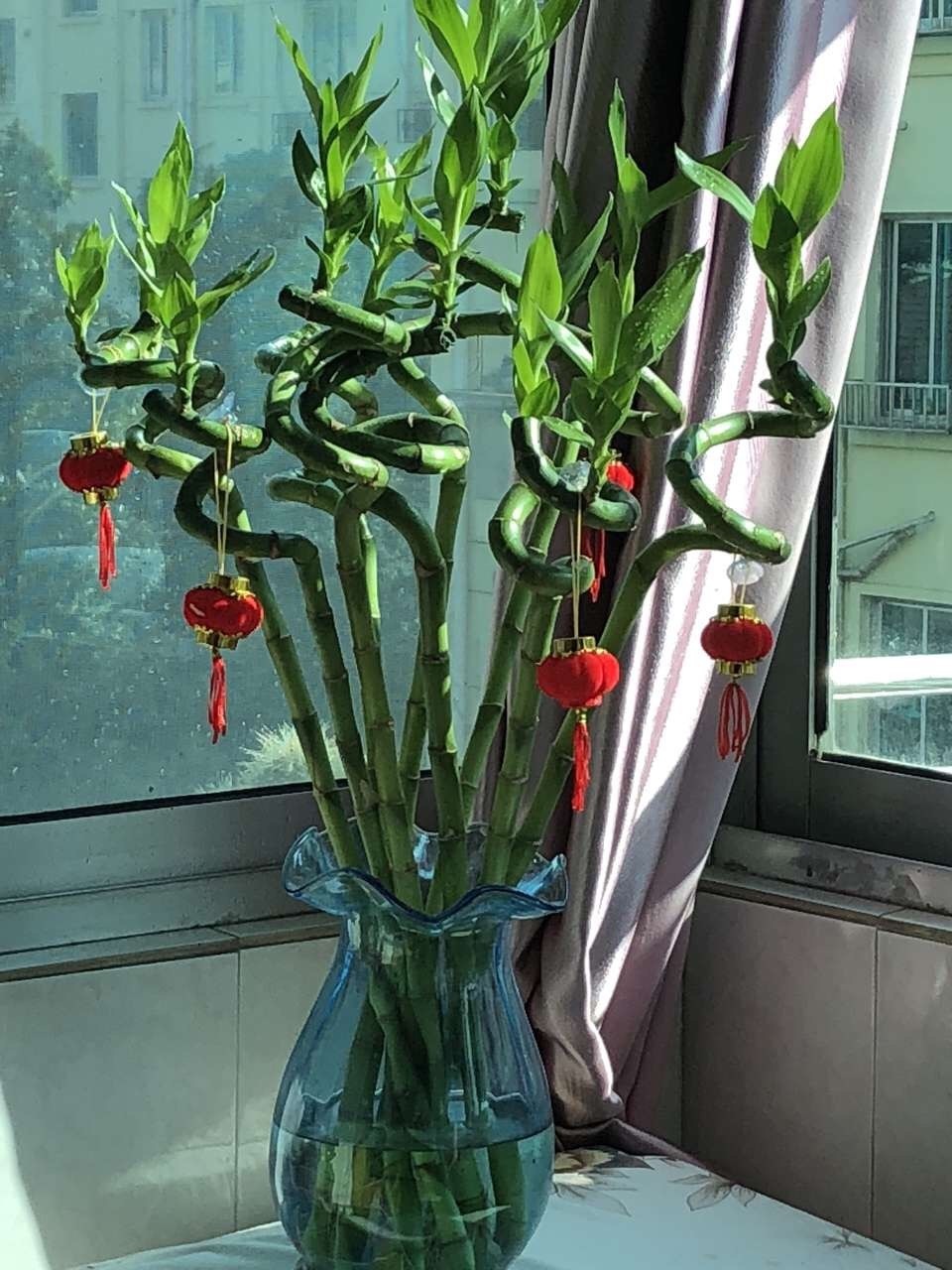 不要只用“淘米水”,3种水“喷1喷”,不招虫无异味,养啥旺啥