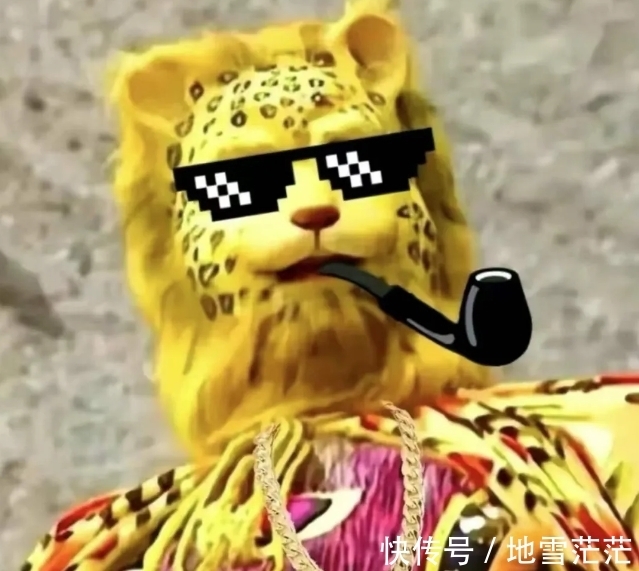 最近的朋友圈,跑进来一只豹子