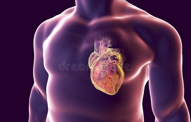 头晕乏|经常头晕乏力、气促胸闷，心率＜60，谨防严重心动过缓，可这样治