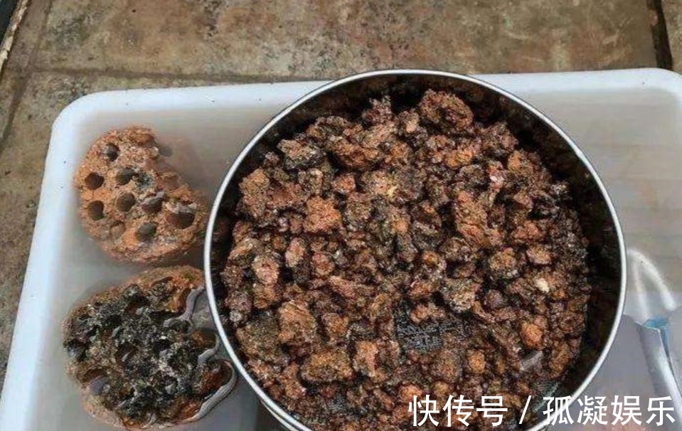 养茉莉栀子花，千万别用2种土，用了就黄叶，养一盆死一盆