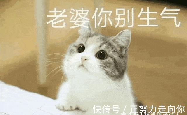 |搞笑段子:猪肉女老板追我两条街,只因让她切二十斤猪肉