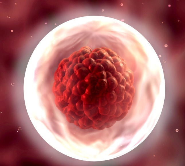 卵泡|宫寒不易怀孕,坚持3个食疗方,把卵子养得又大又圆,成功接好孕