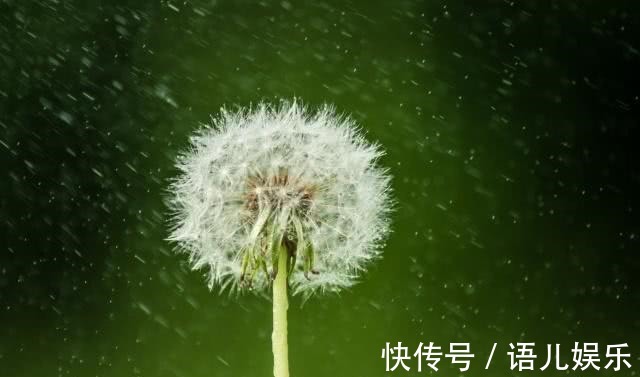 夜雨！40岁的白居易想起初恋，半夜失眠，写出一场千年来最凄美的夜雨