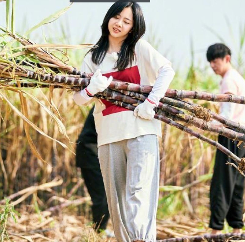 小姐姐|谭松韵“亮相”《向往5》，看清她的出场方式，何老师有心了